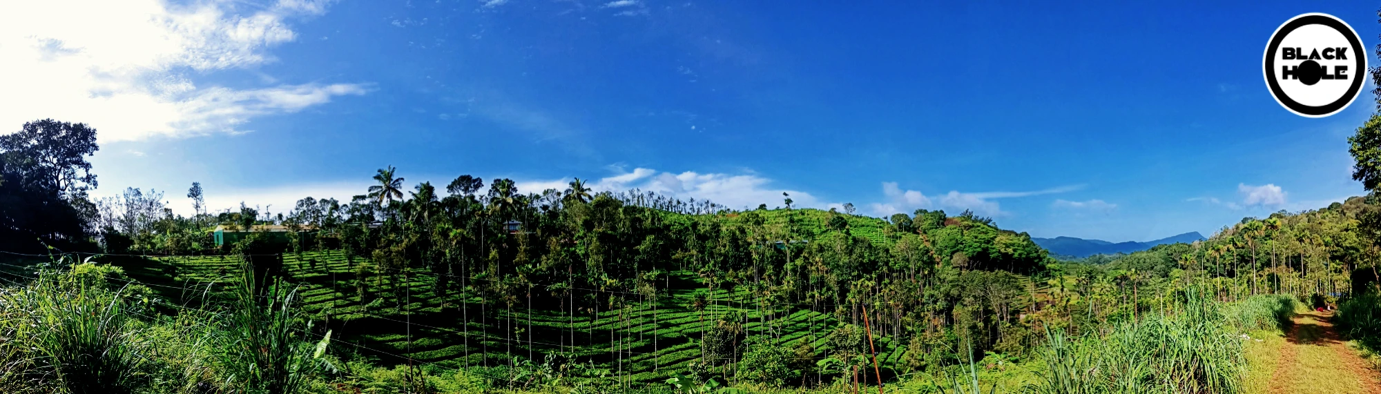 Panoramic view of farm BlackHole Farms Panoramic View